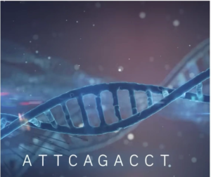 Capture d’écran 2026-04-07 à 15.09.20